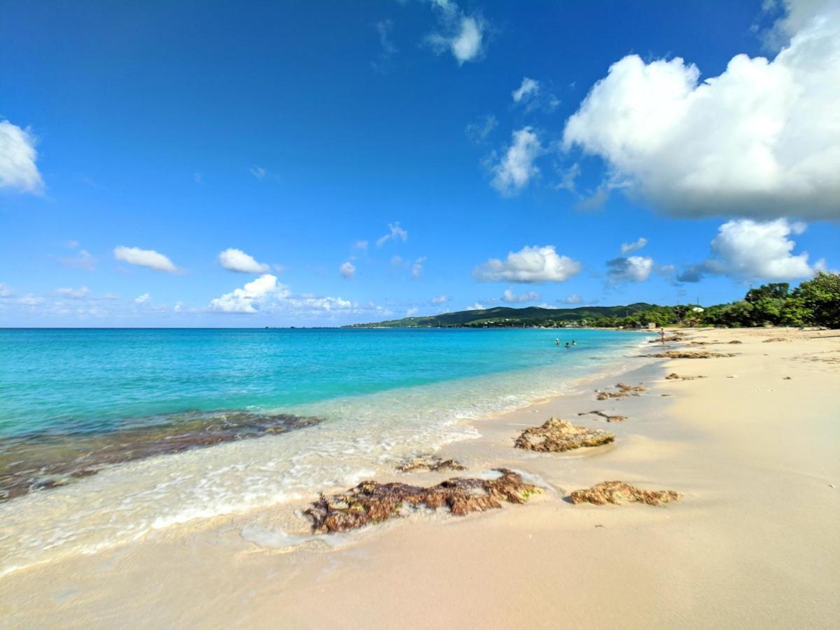 Sand Castle On The Beach - Adults Only Frederiksted Extérieur photo